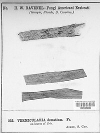 Image Associated With the Occurence